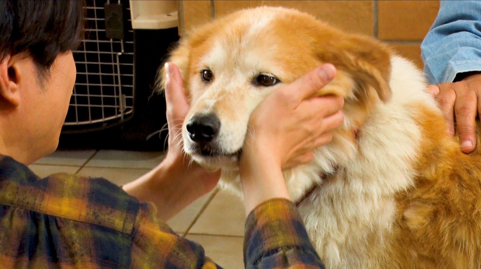 相葉雅紀の写真