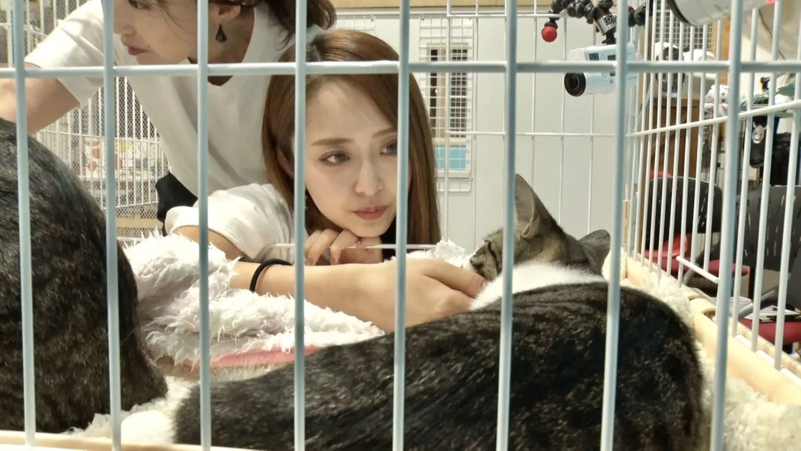 みりちゃむが保護猫・うみ一家と譲渡会へ！4か月の共同生活で5匹