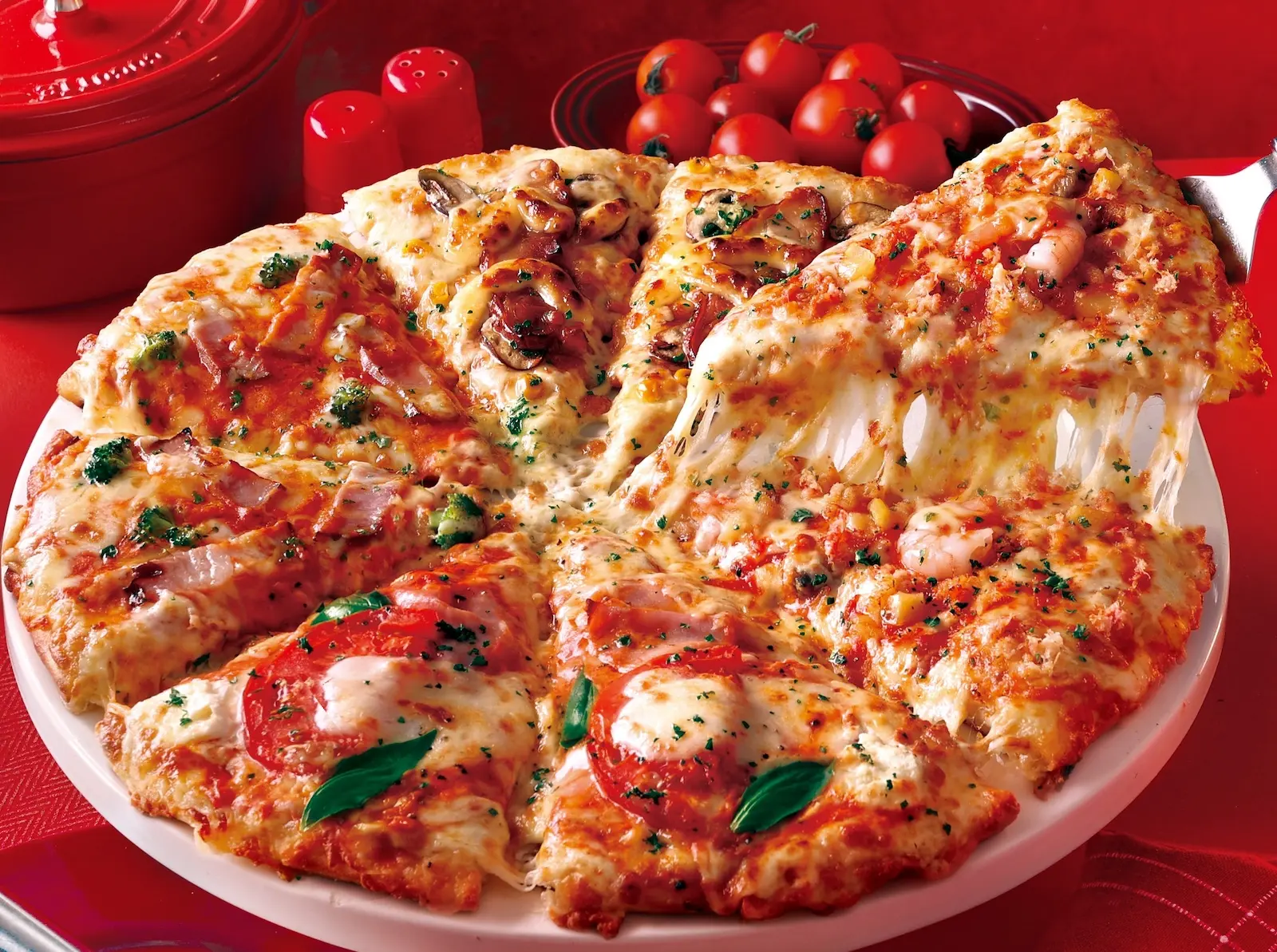 きささご★リピーター様割 光邦 KOUHO ZX-65 LEFT｜アウトレットシザース｜833