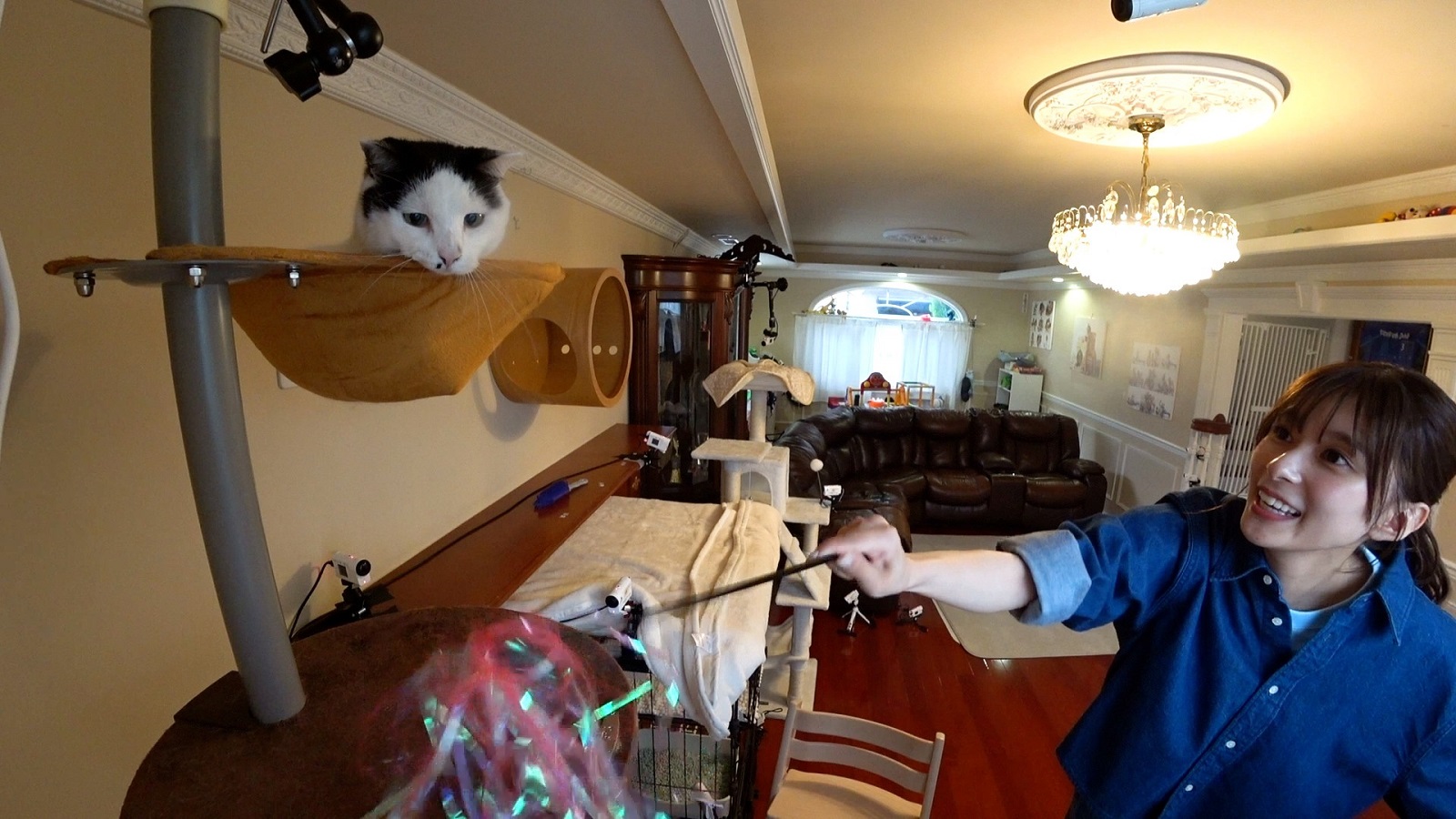 芳根京子の写真