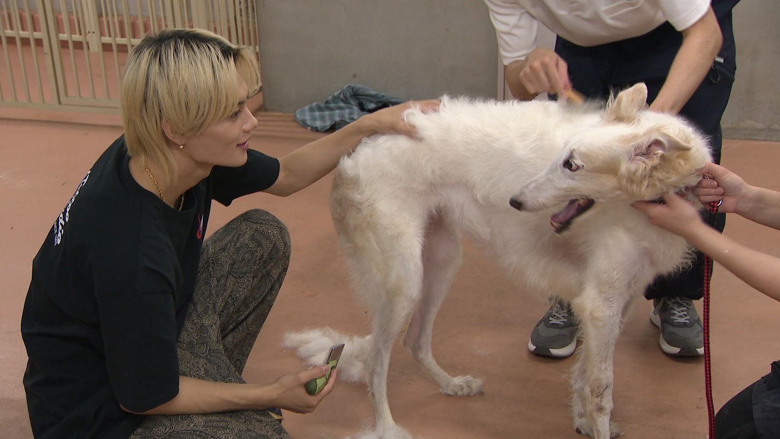 M!LK・佐野勇斗の写真