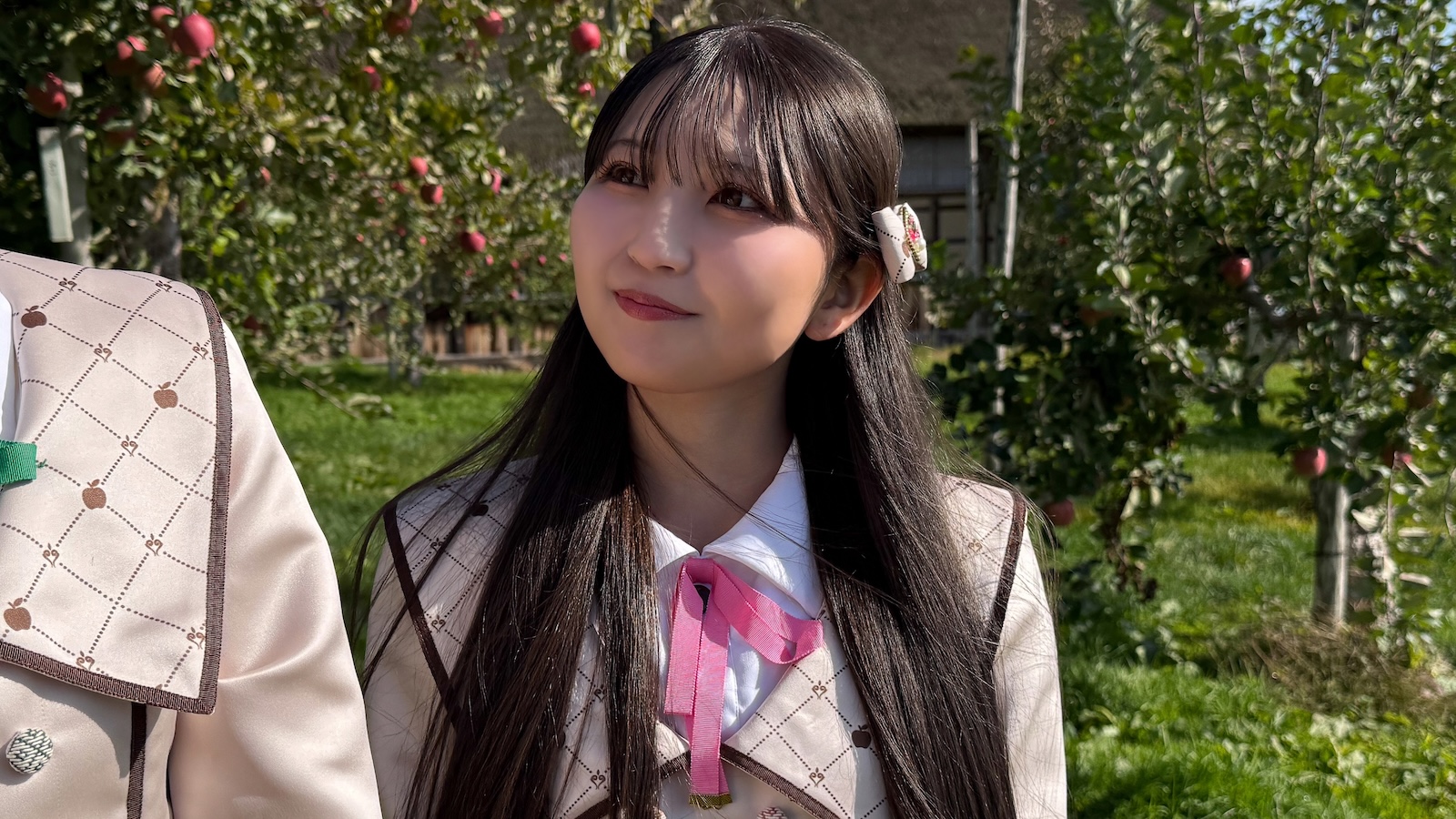 ピンクレディの写真