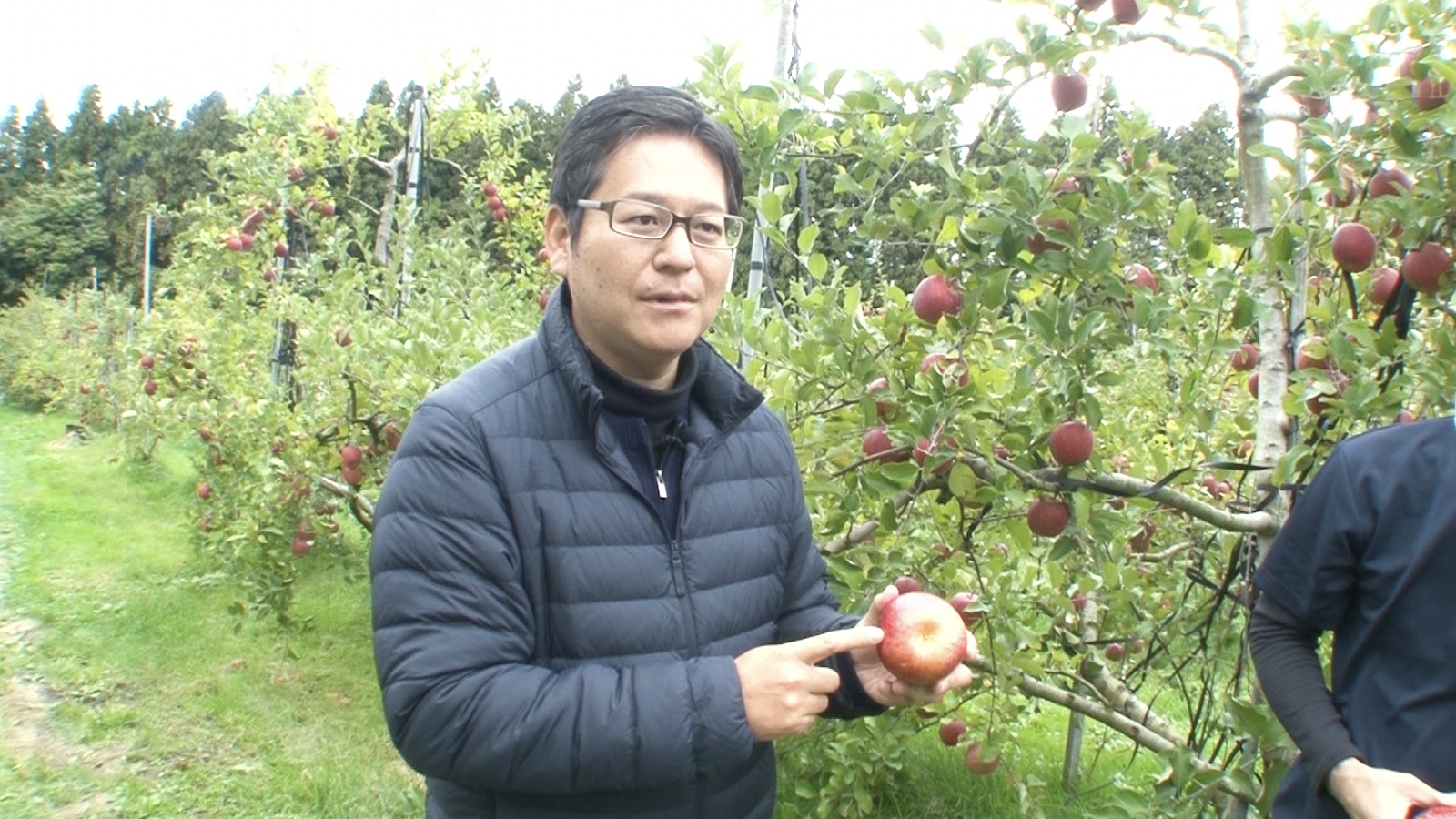 りんご飴の神・佐々木雄三さんの写真