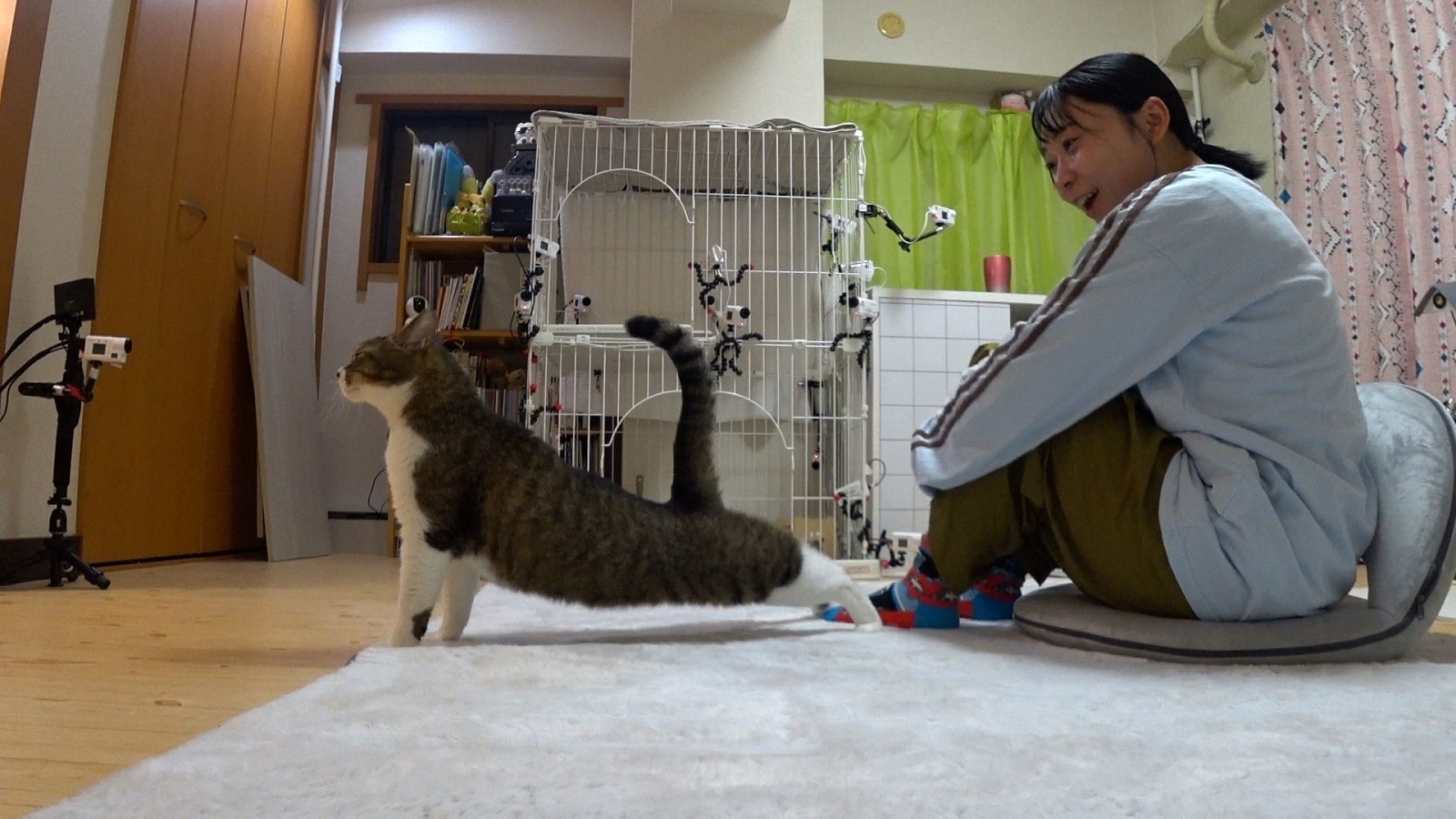 アンゴラ村長の写真