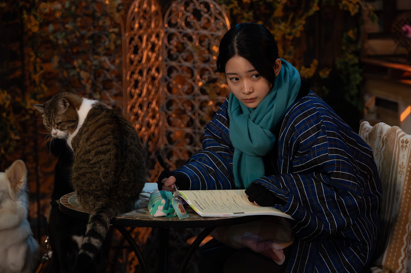 白鳥玉季の写真