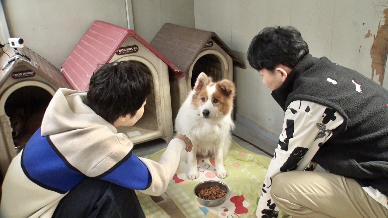 有働由美子と有吉弘行の写真