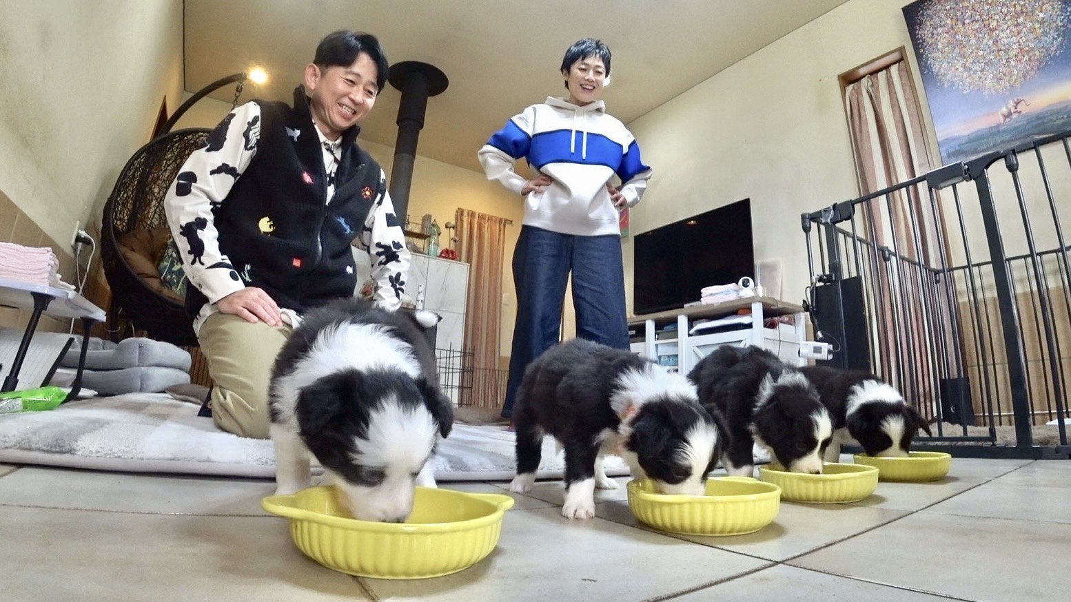 有働由美子と有吉弘行の写真