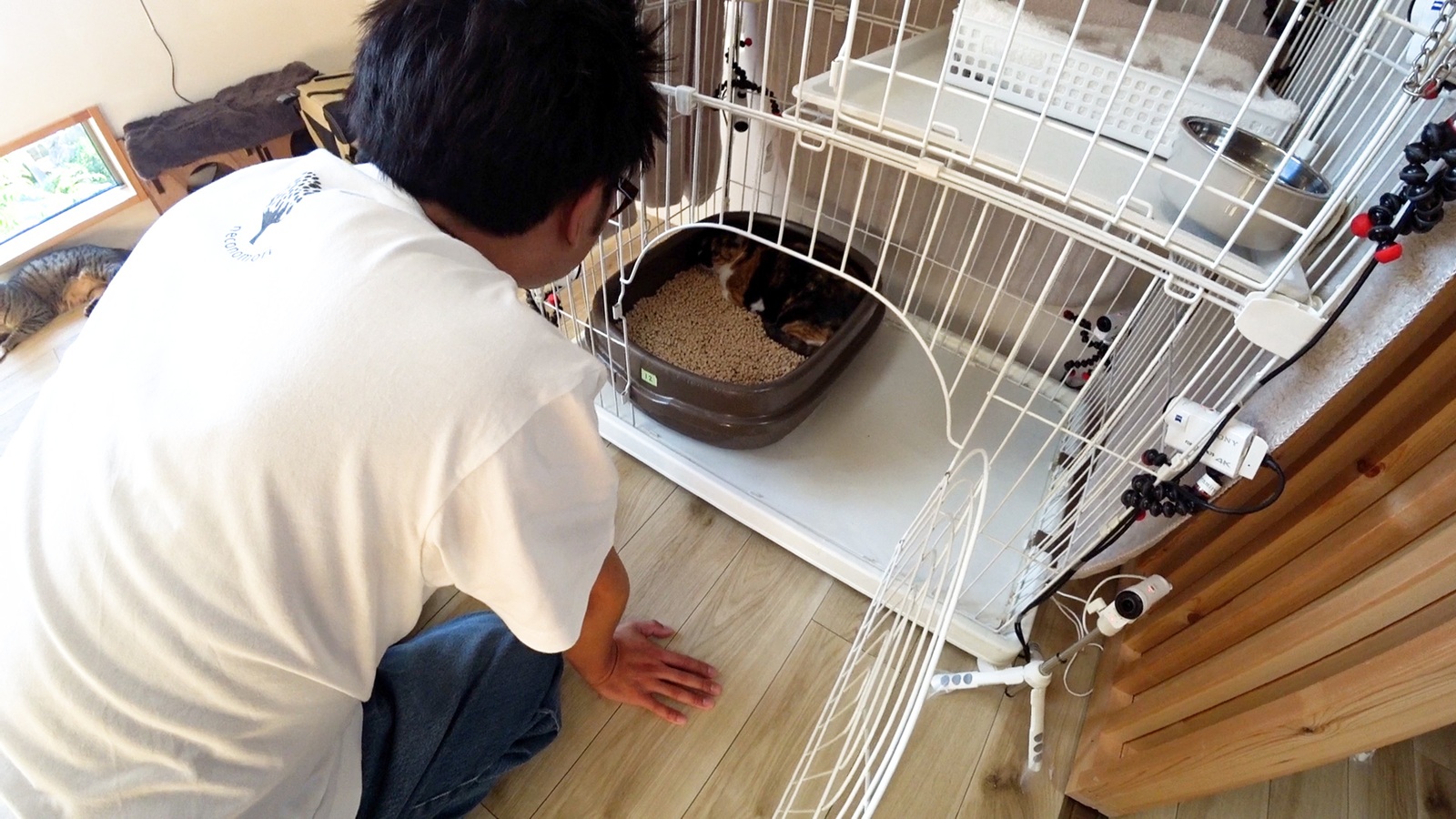 サンシャイン池崎の写真