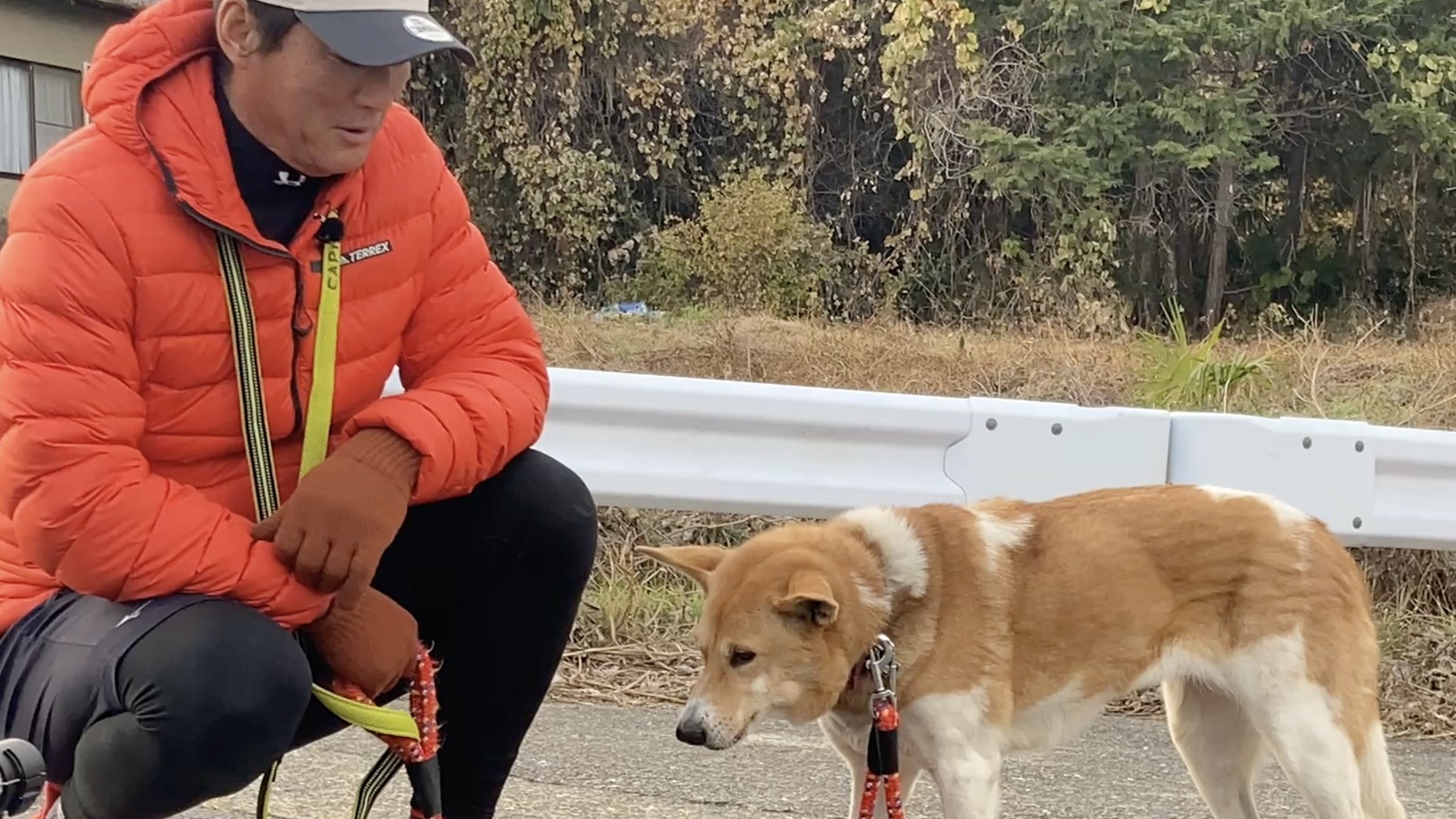 長嶋一茂の写真