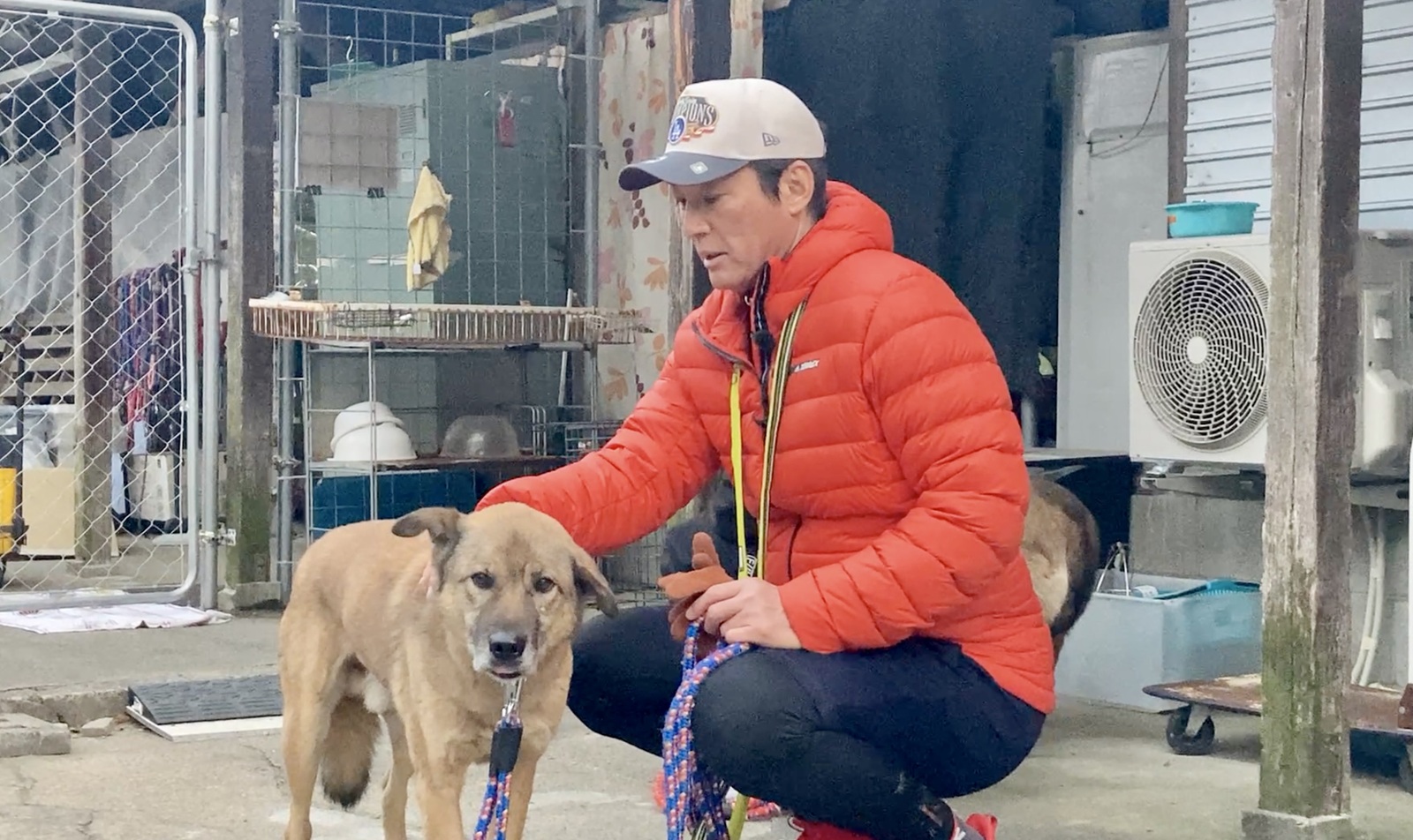 長嶋一茂の写真