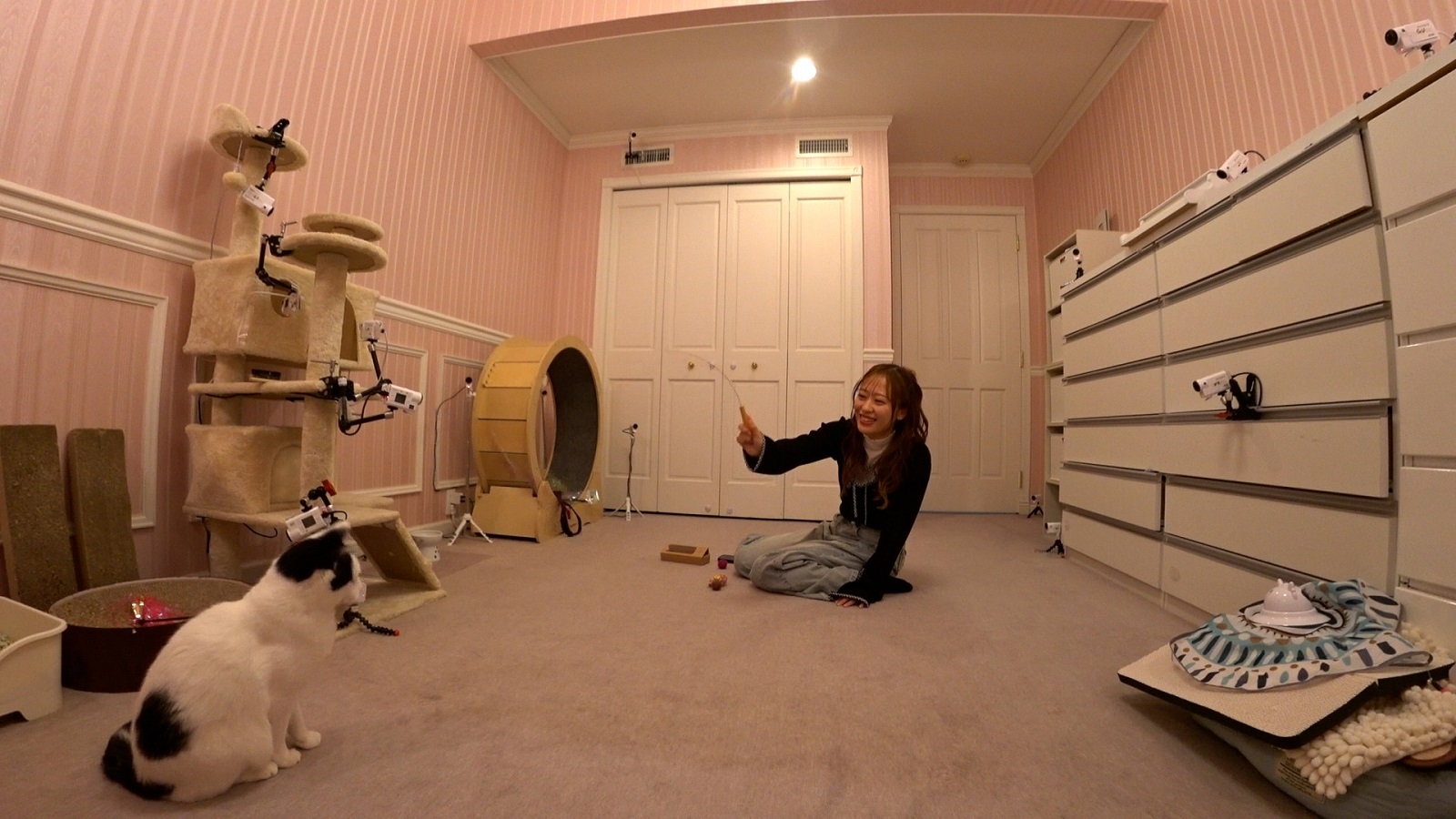 モーニング娘。’25・小田さくらの写真