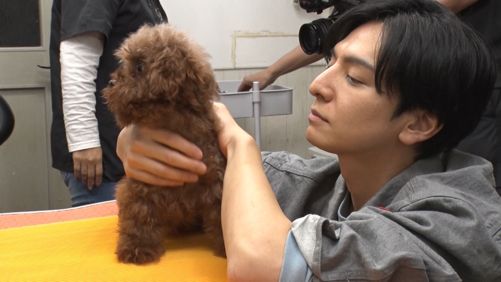 生田斗真の写真