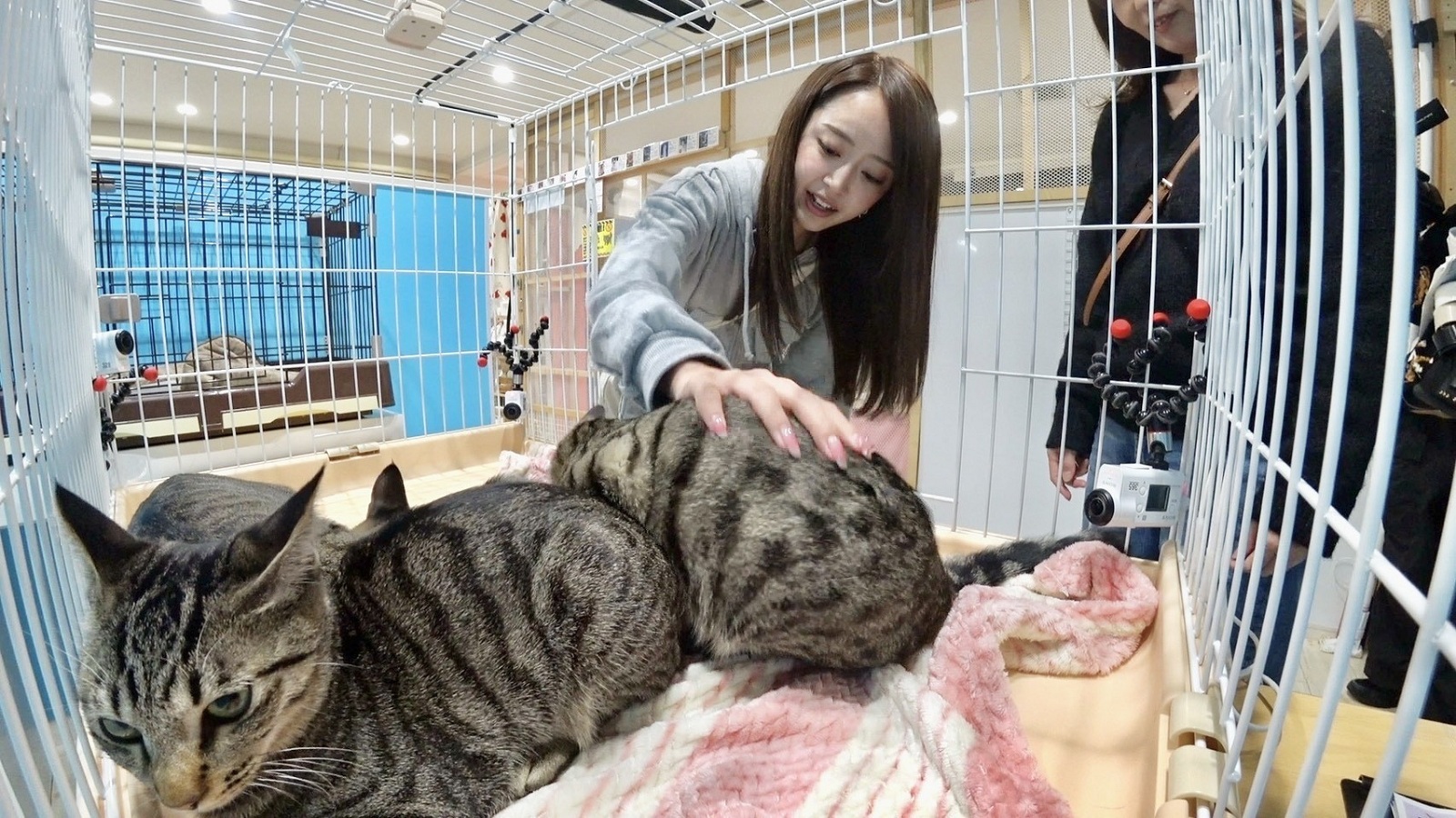 みりちゃむの写真