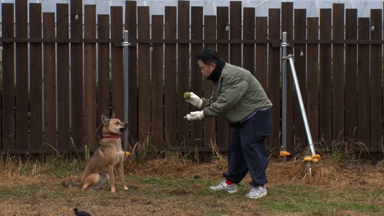 ダイアン・津田篤宏の写真