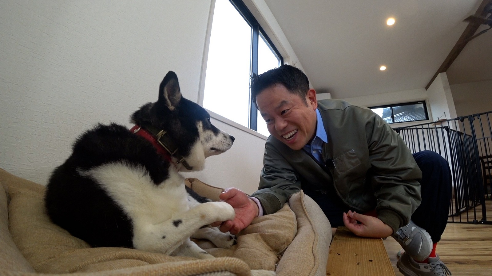 ダイアン・津田篤宏の写真