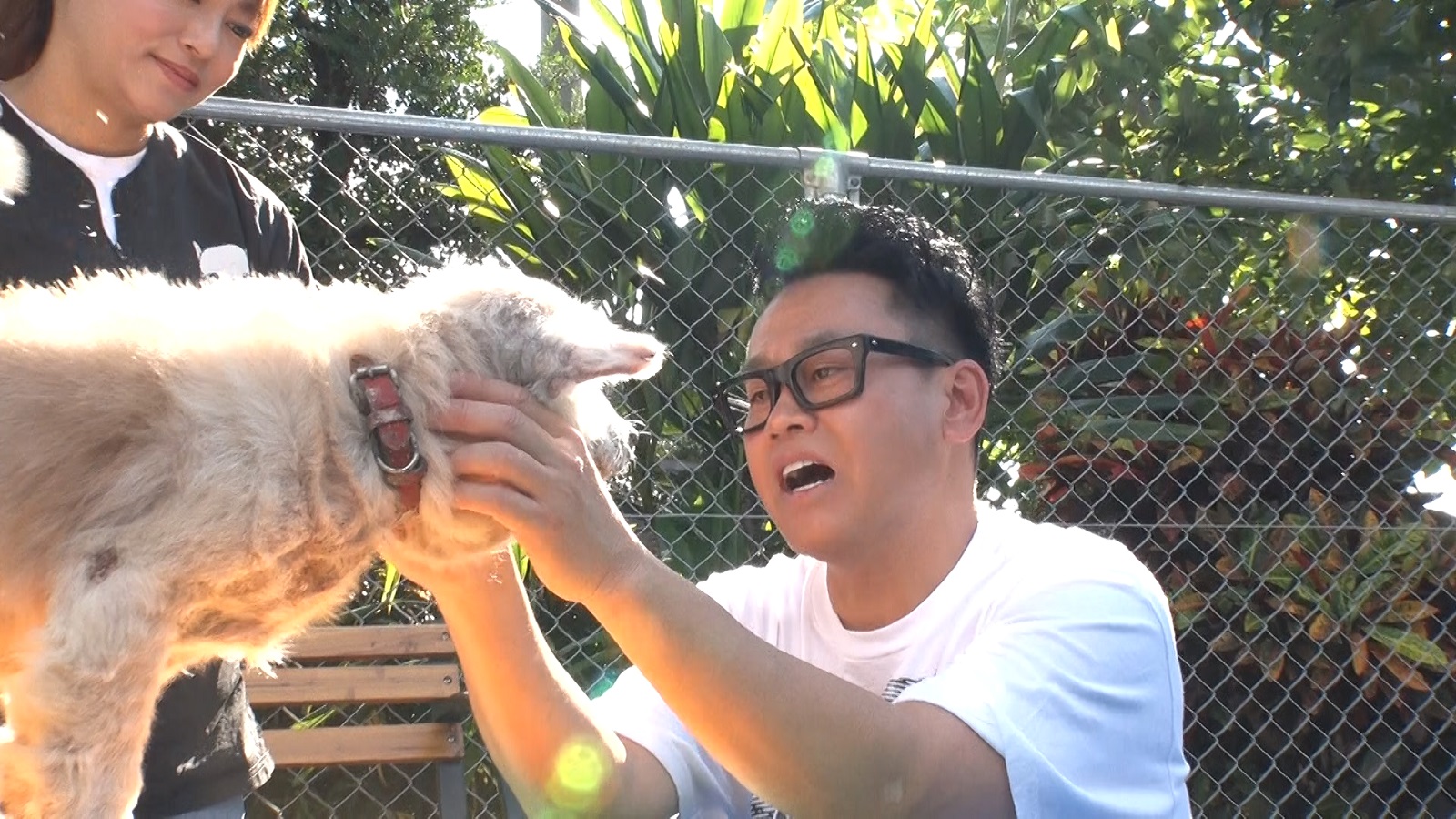 宮川大輔の写真