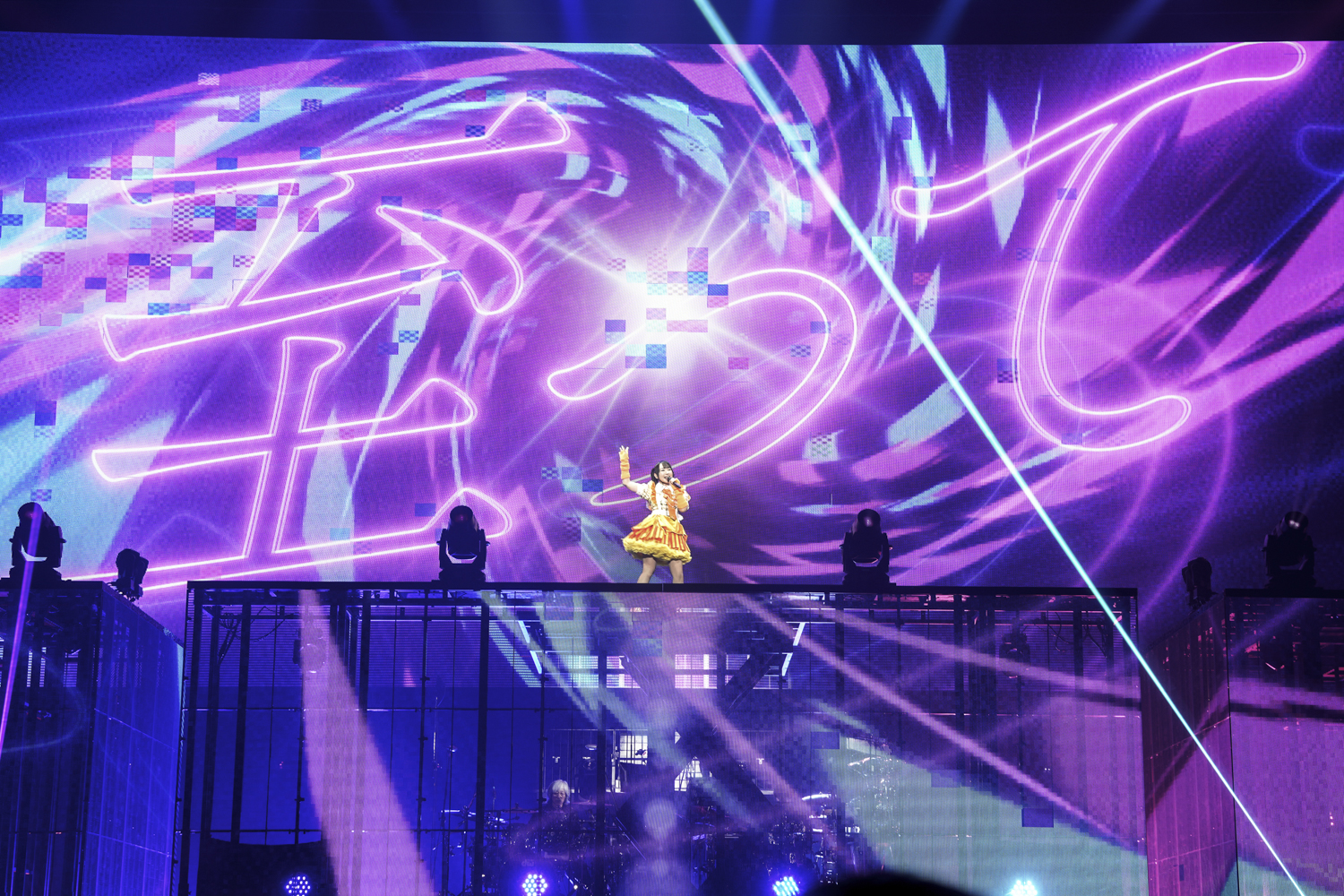 水樹奈々の写真