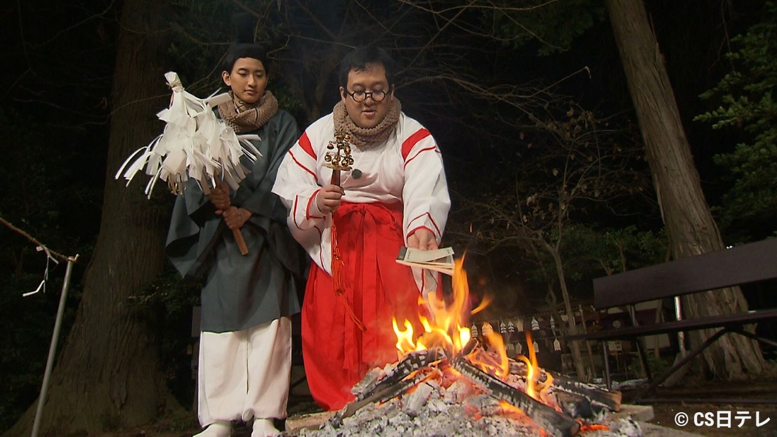 春とヒコーキの写真