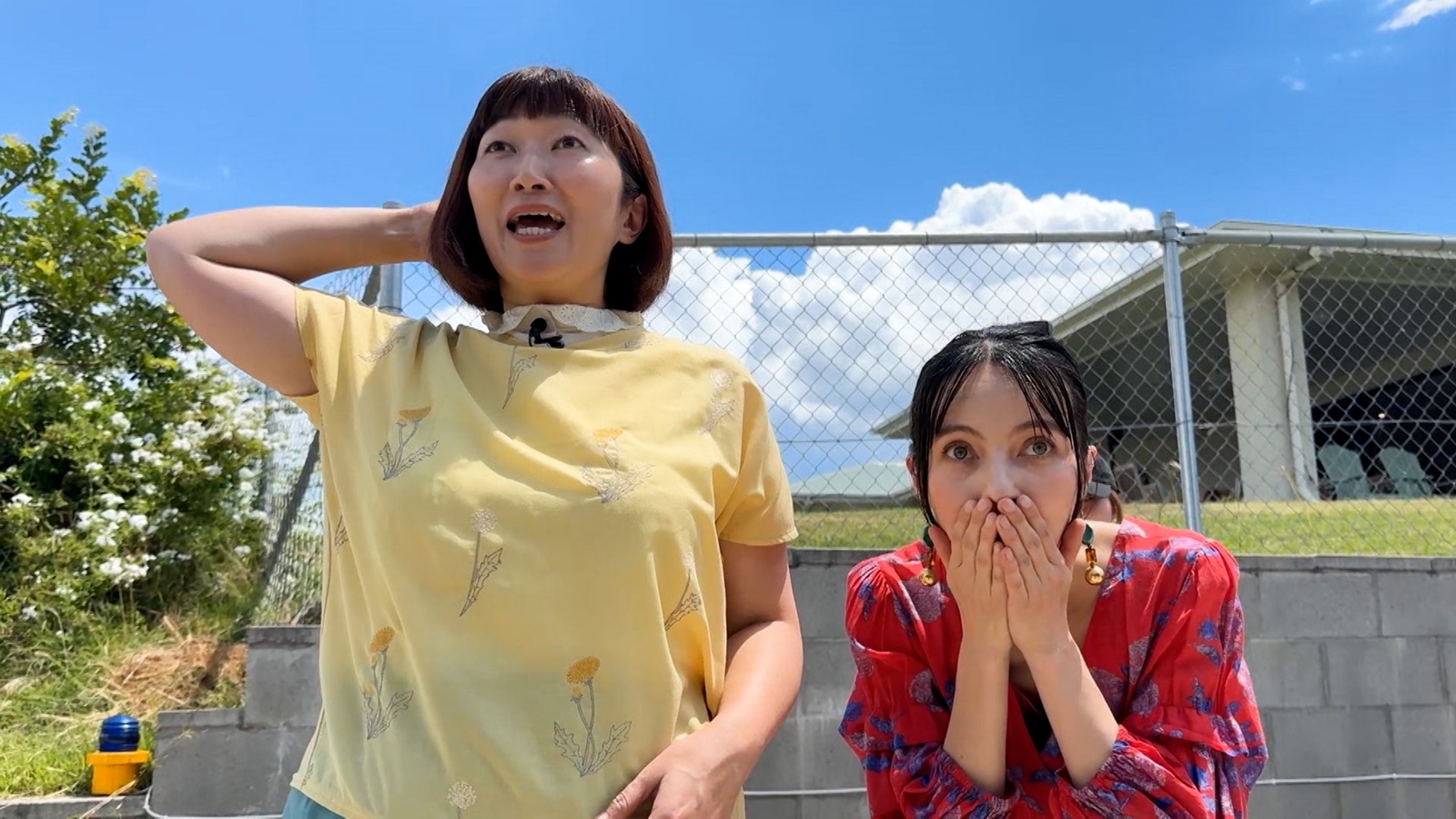 たんぽぽの川村エミコとベッキーの写真