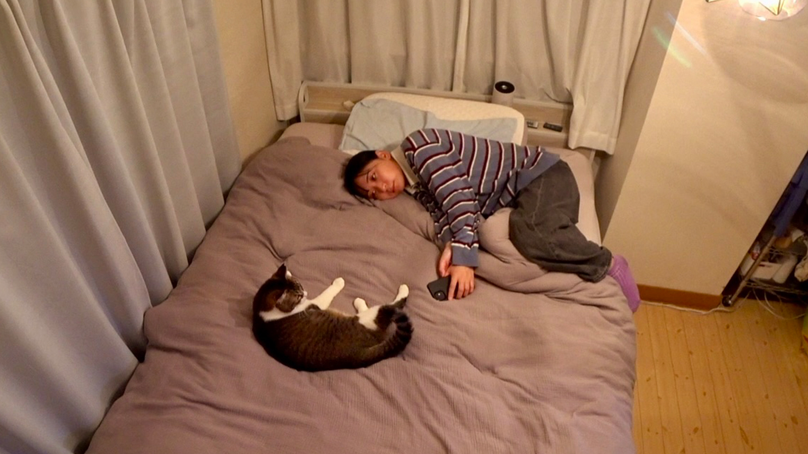 にゃんこスターのアンゴラ村長の写真