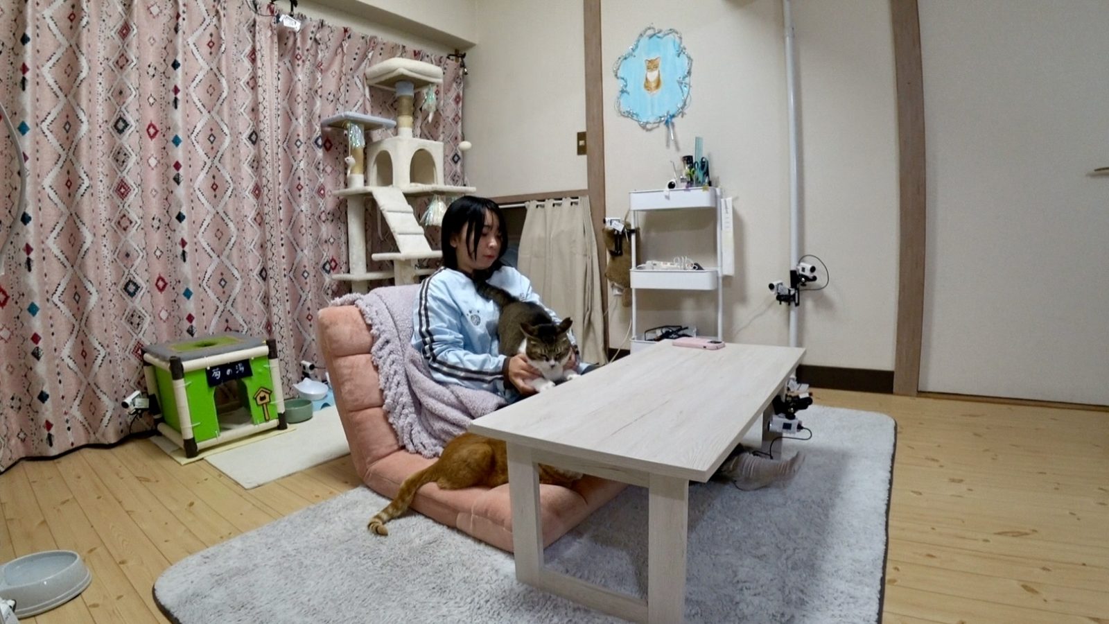 にゃんこスターのアンゴラ村長の写真