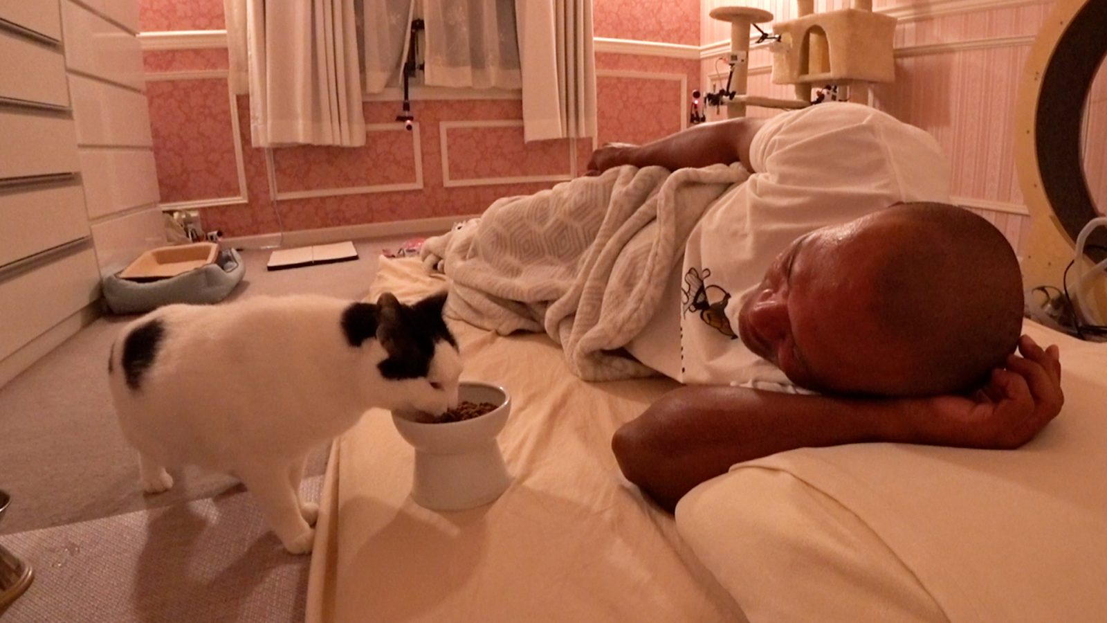 アレックス・ラミレス