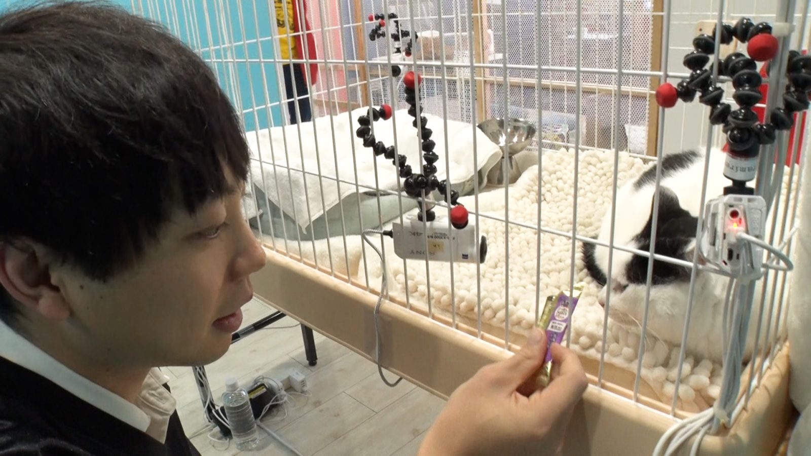 ティモンディ・前田裕太の写真