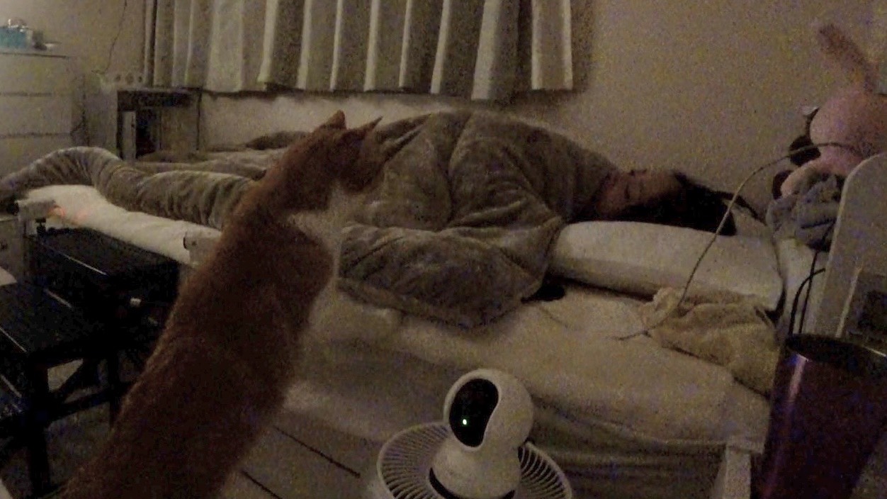 みりちゃむ（大木美里亜）の写真