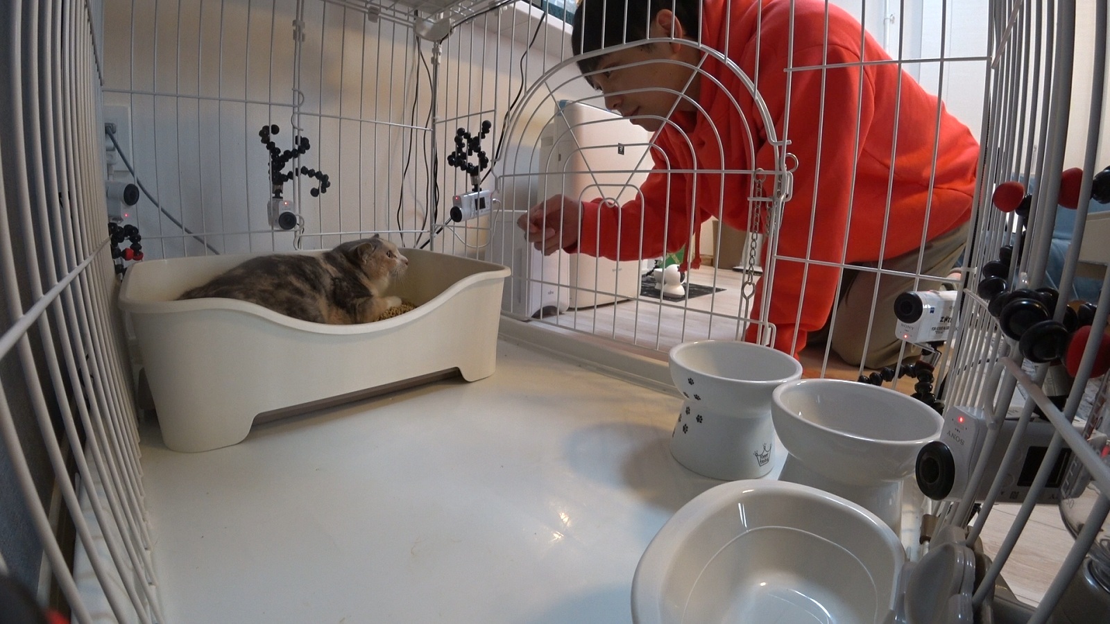 ティモンディ・前田裕太の写真