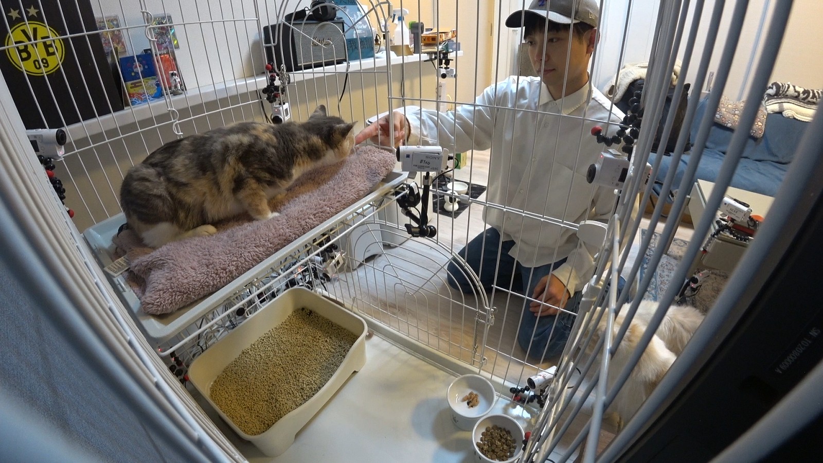 ティモンディ・前田裕太の写真