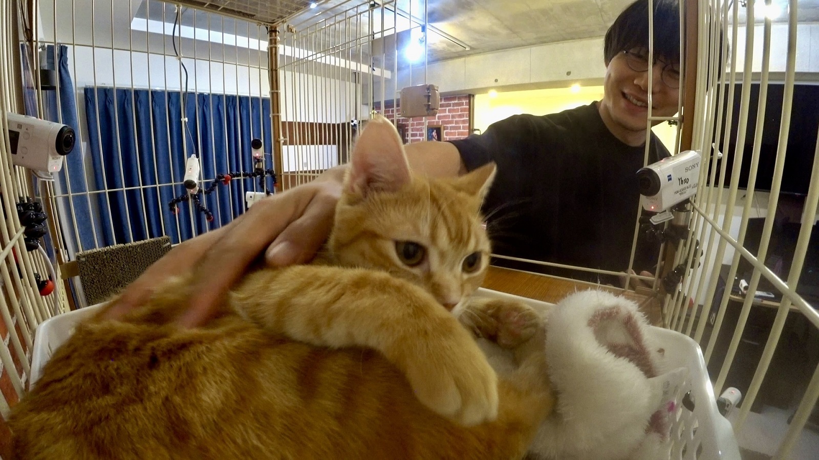 かけおちの青木マッチョの写真