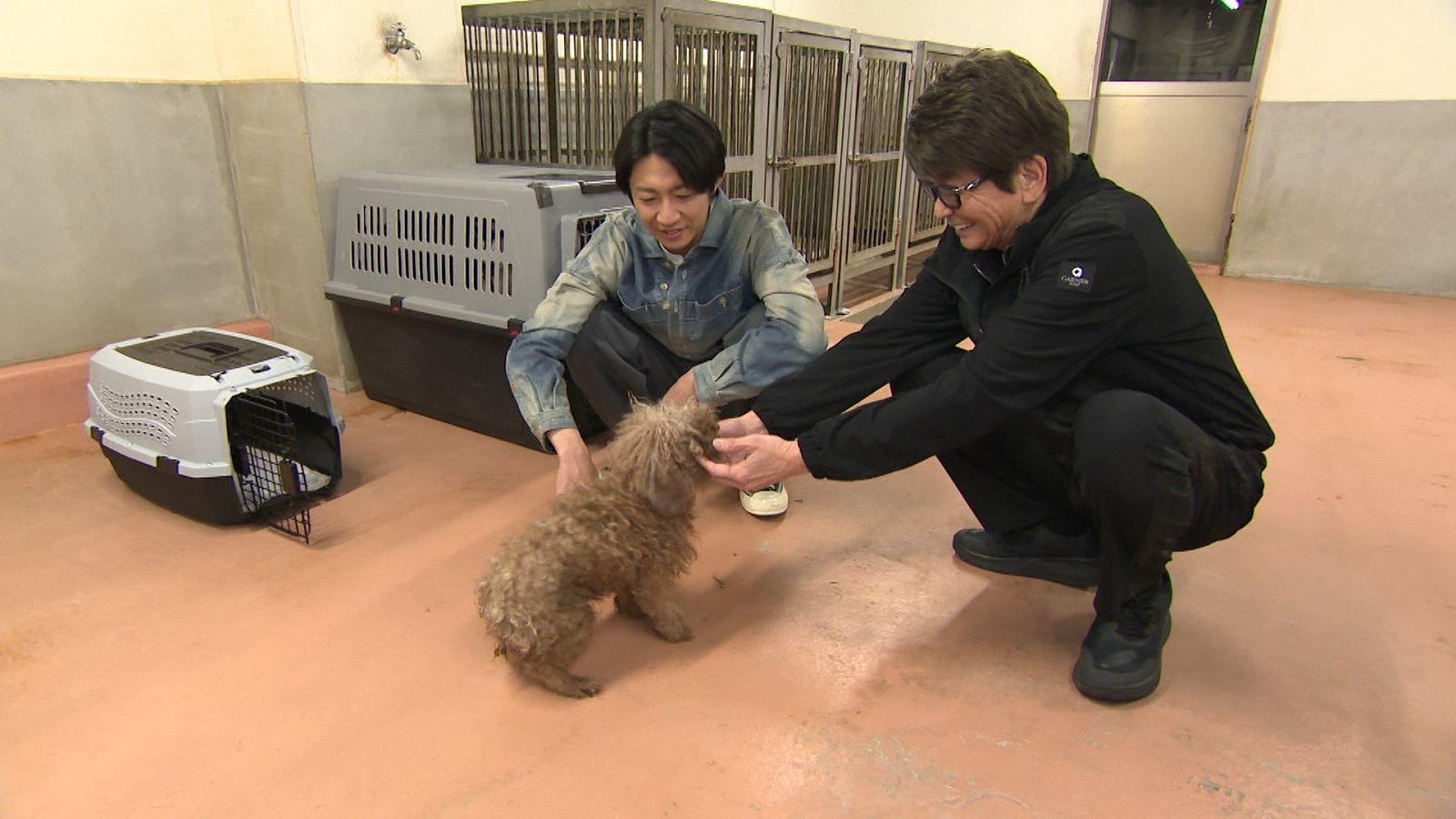 相葉雅紀、哀川翔の写真