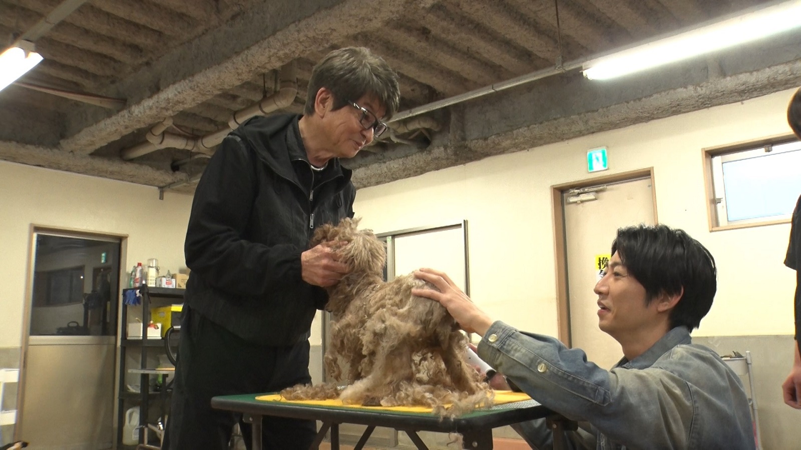 相葉雅紀、哀川翔の写真