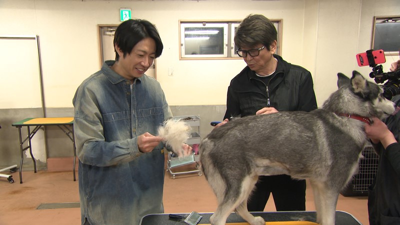 相葉雅紀、哀川翔の写真