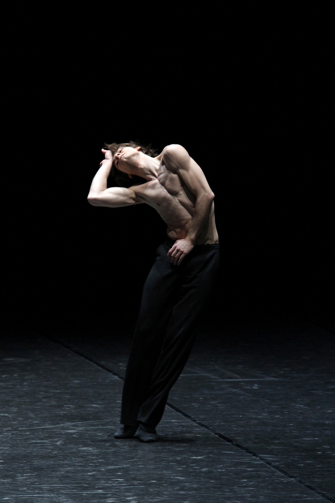 フリーデマン・フォーゲルの写真