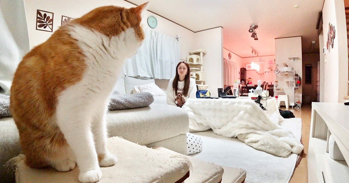 みりちゃむの写真