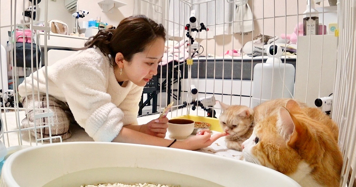 みりちゃむの写真