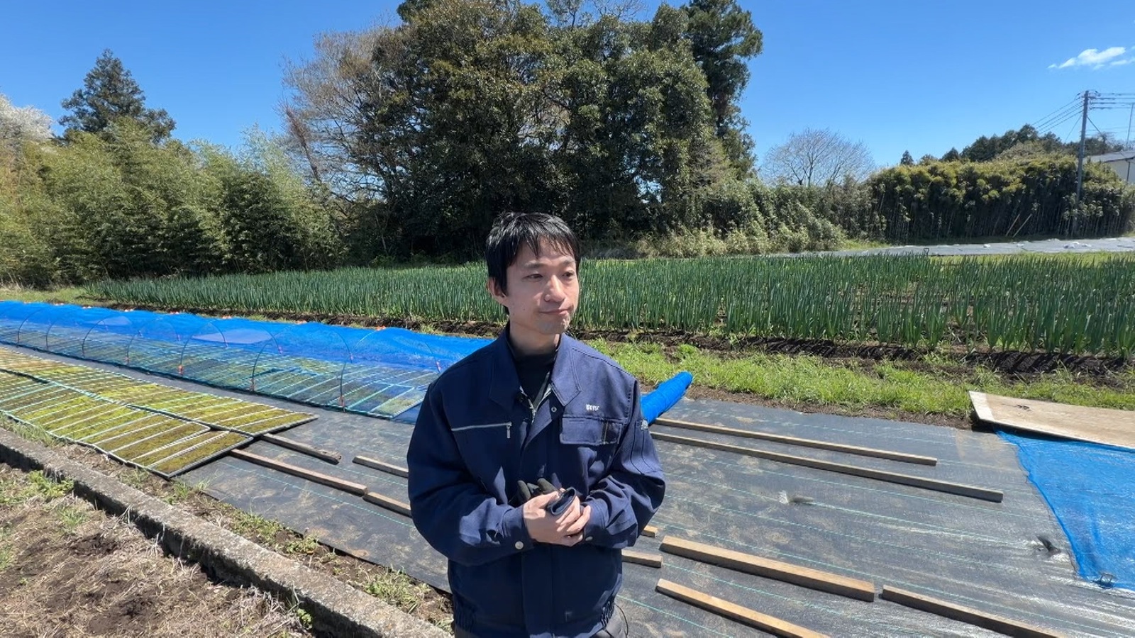 苔師・園田純寛さんの写真