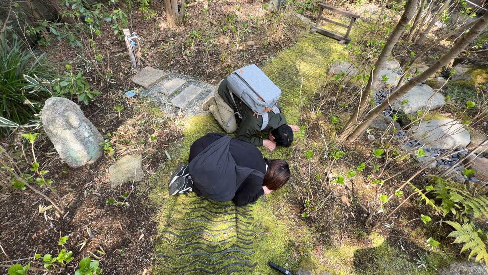 苔師・園田純寛さんの写真