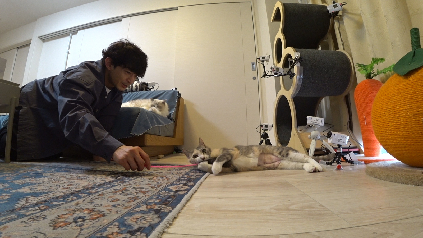 津田健次郎の写真