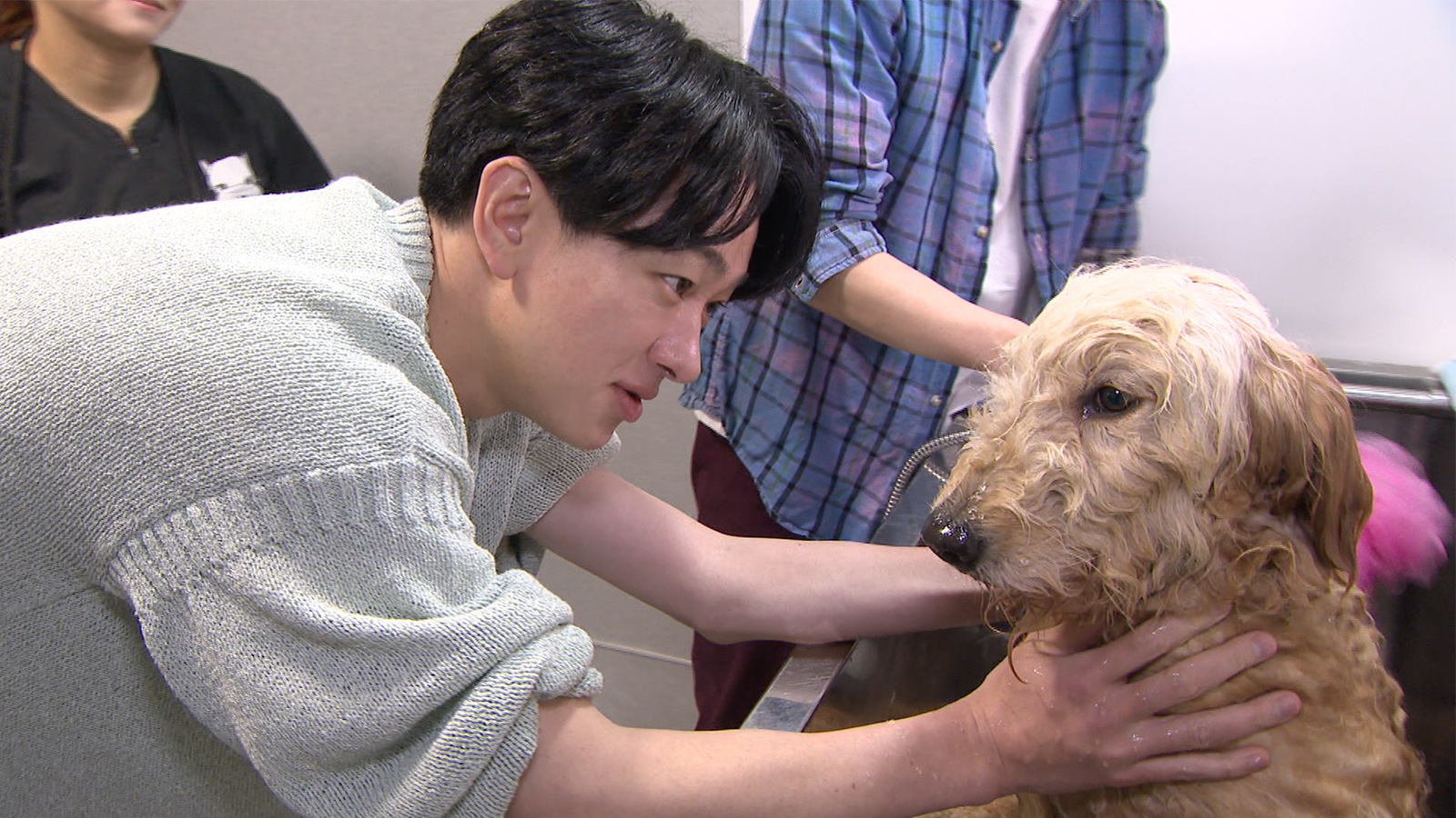 SUPER EIGHTの横山裕の写真