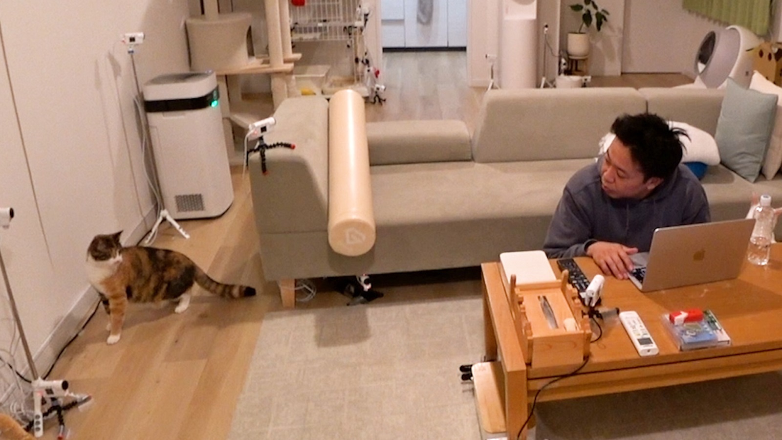 サンシャイン池崎の写真