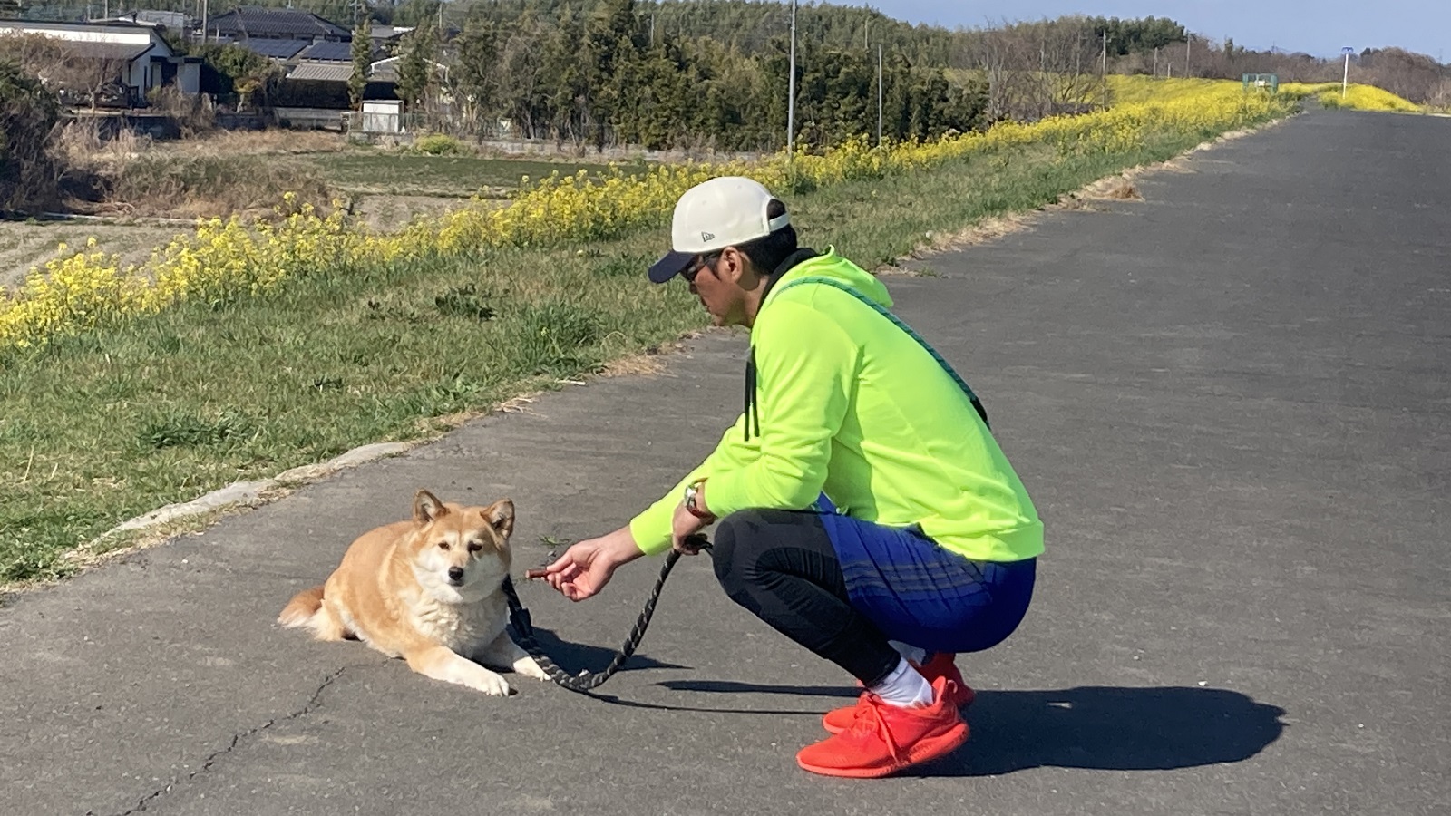 長嶋一茂の写真
