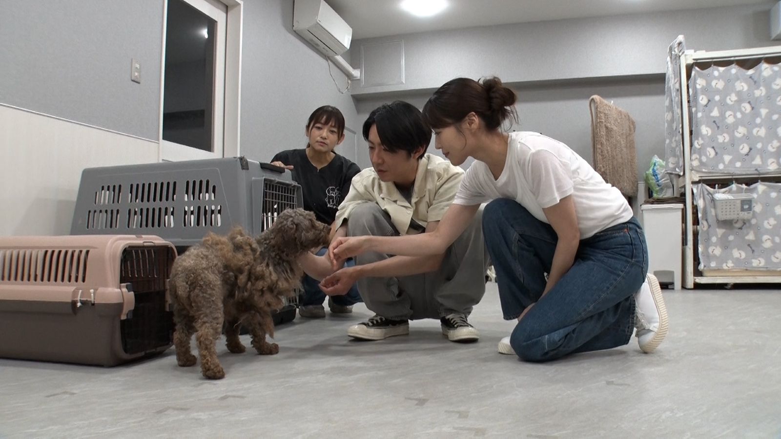 相葉雅紀と有村架純の写真
