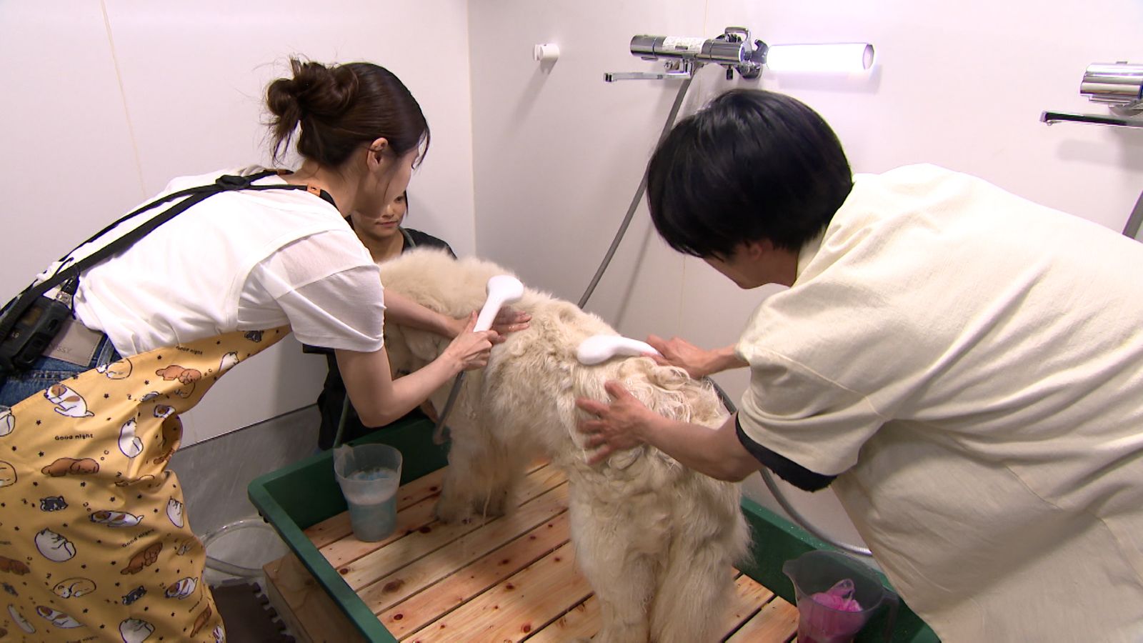 相葉雅紀と有村架純の写真