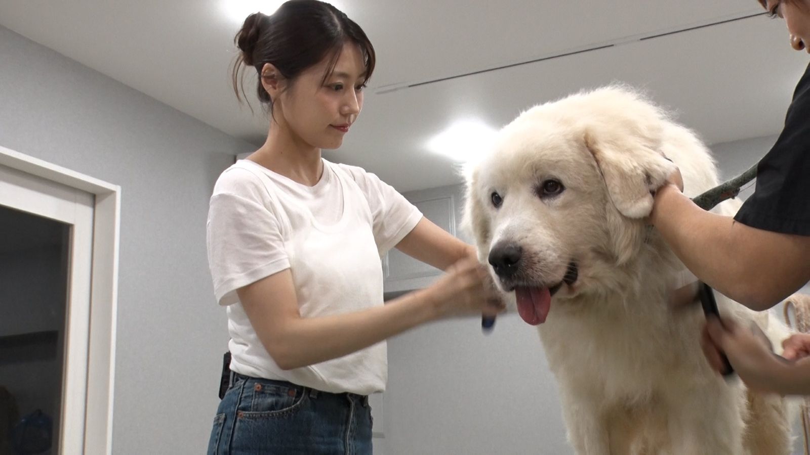 有村架純の写真