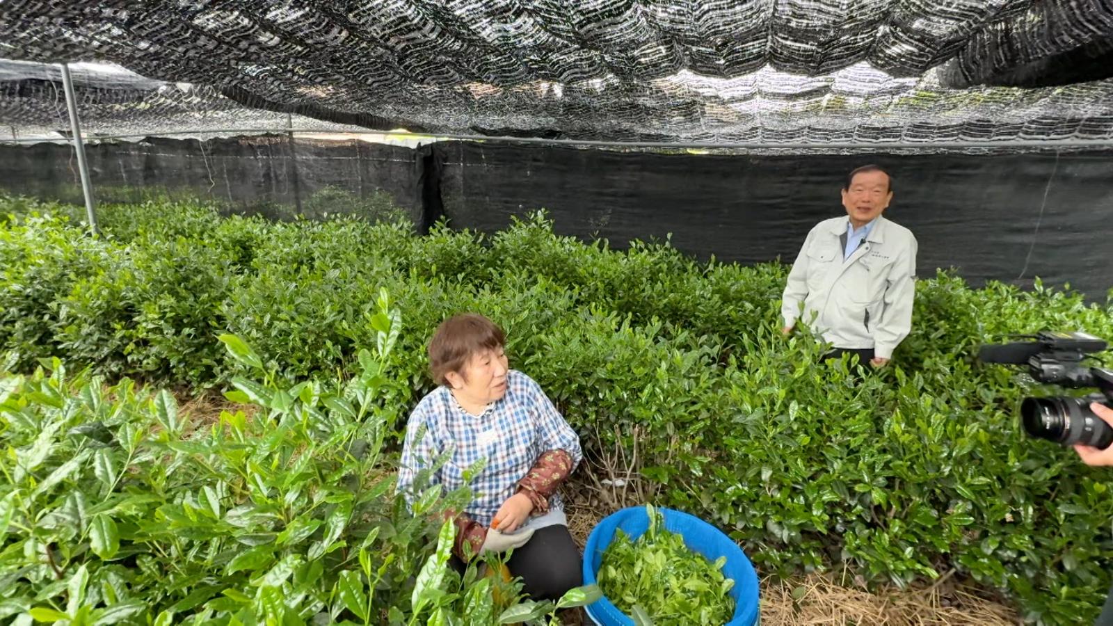 宇治抹茶の神・堀井長太郎さんらの写真