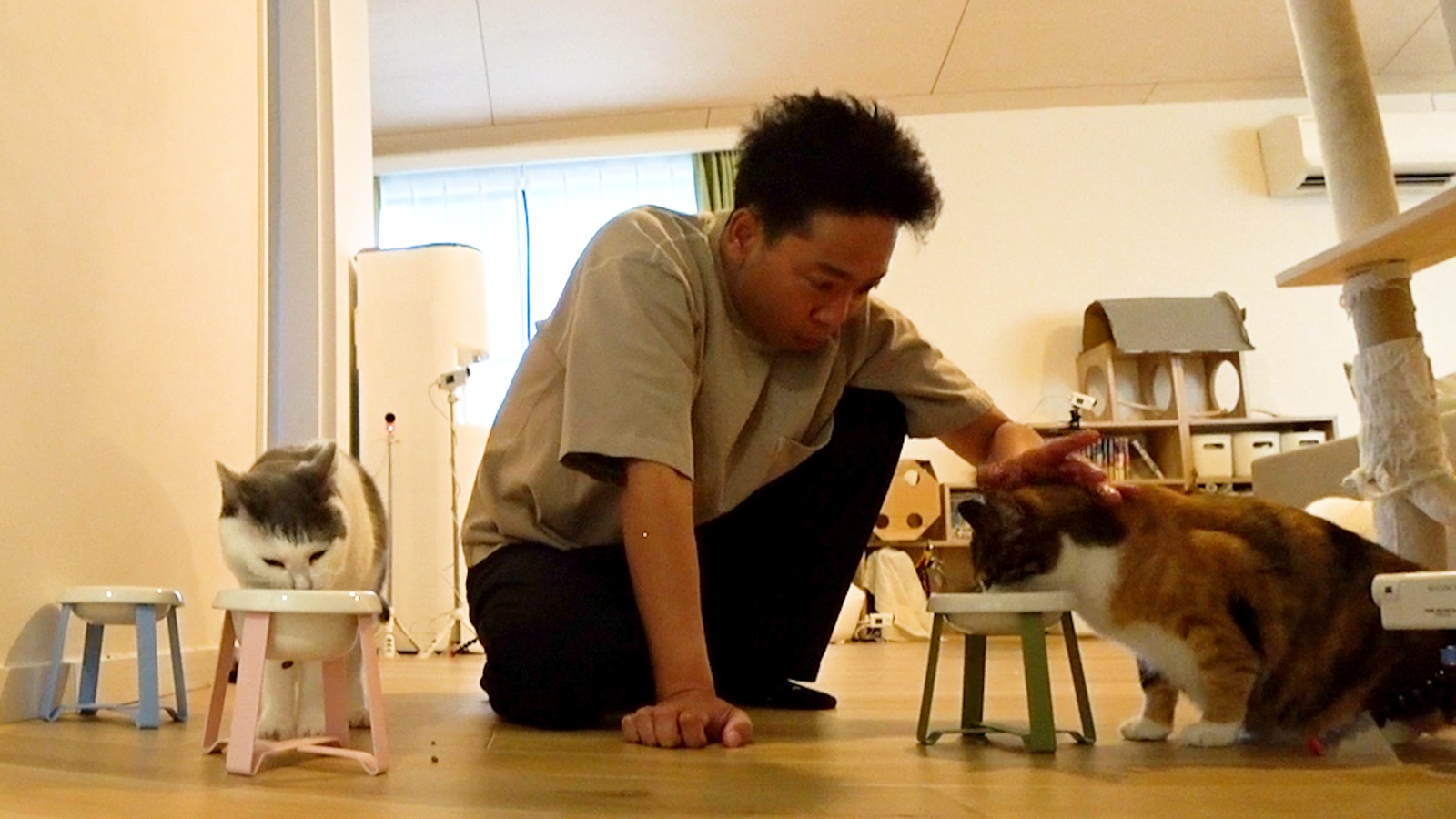 サンシャイン池崎の写真