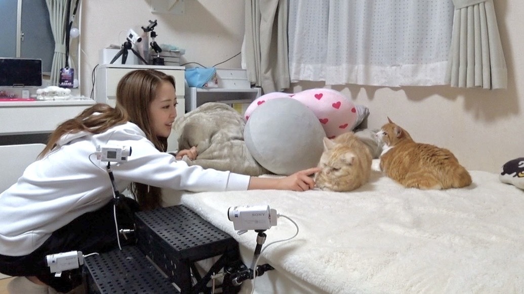 みりちゃむの写真