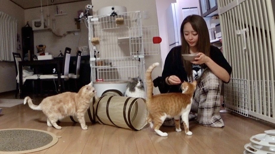 みりちゃむの写真